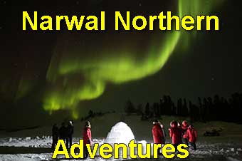 Narwal Northern Adventures