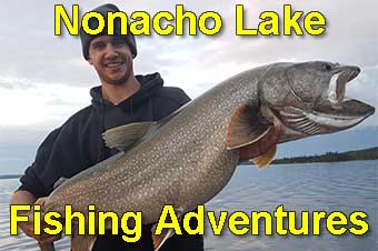 Plummer's Arctic Lodges