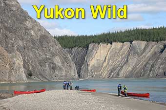 Yukon Wild